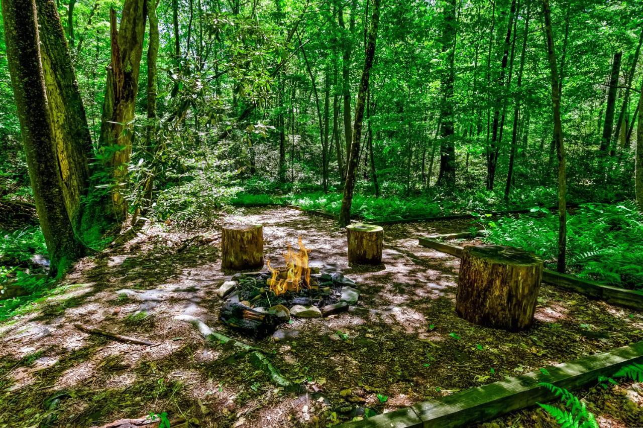 Villa Lucilles Creekside Hideaway Blue Ridge Exterior foto